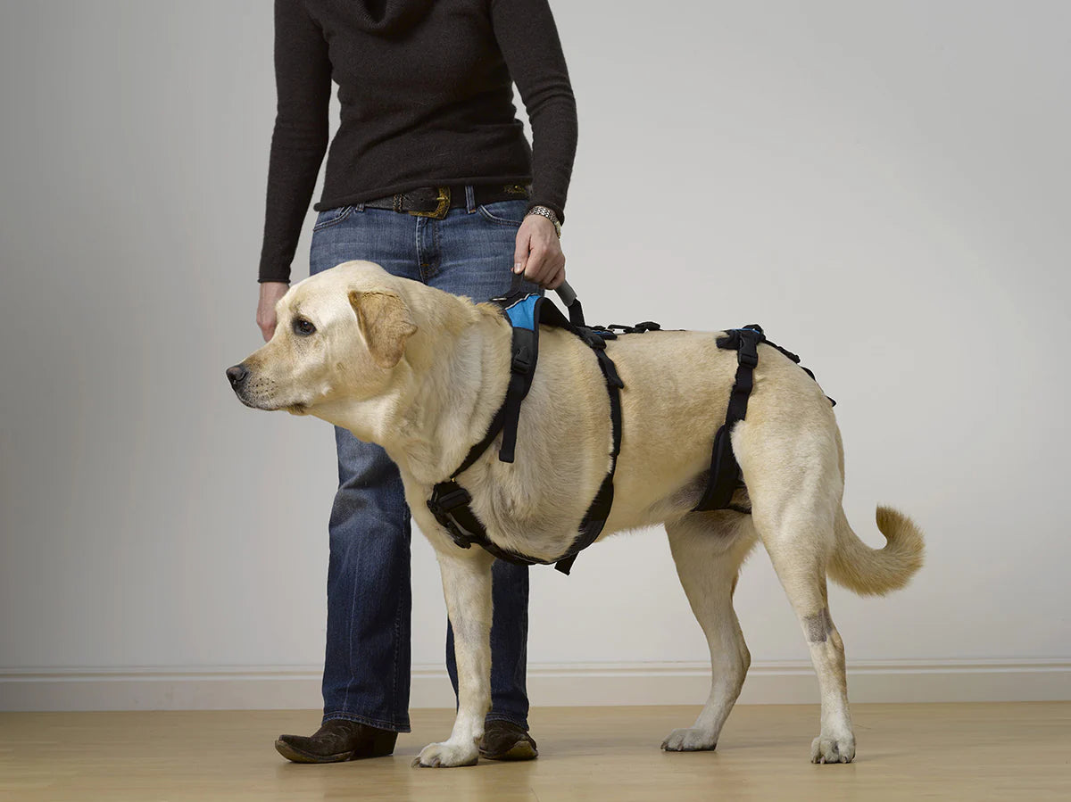 Help Em Up Large Conventional Harness – All Creatures Great & Small Cobourg