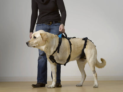 Help Em Up Large Conventional Harness 80-125lbs