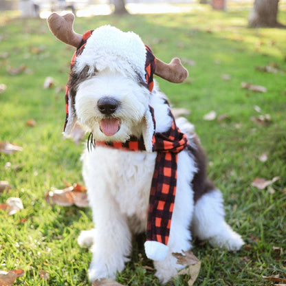 Huxley + Kent Buffalo Check Antler Hat with SnugFit®