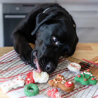 Bosco & Roxy's Christmas Reindeer Delight Dog Cookie