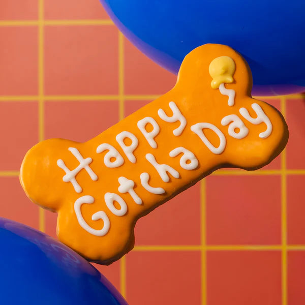 Bosco & Roxy's 🍁Orange Happy Gotcha Day Bone | Natural Birthday