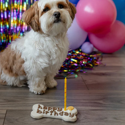 Bosco & Roxy's 🍁White Happy Birthday Bone | Natural Birthday