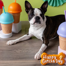 Bosco & Roxy's 🍁Orange Happy Gotcha Day Bone | Natural Birthday