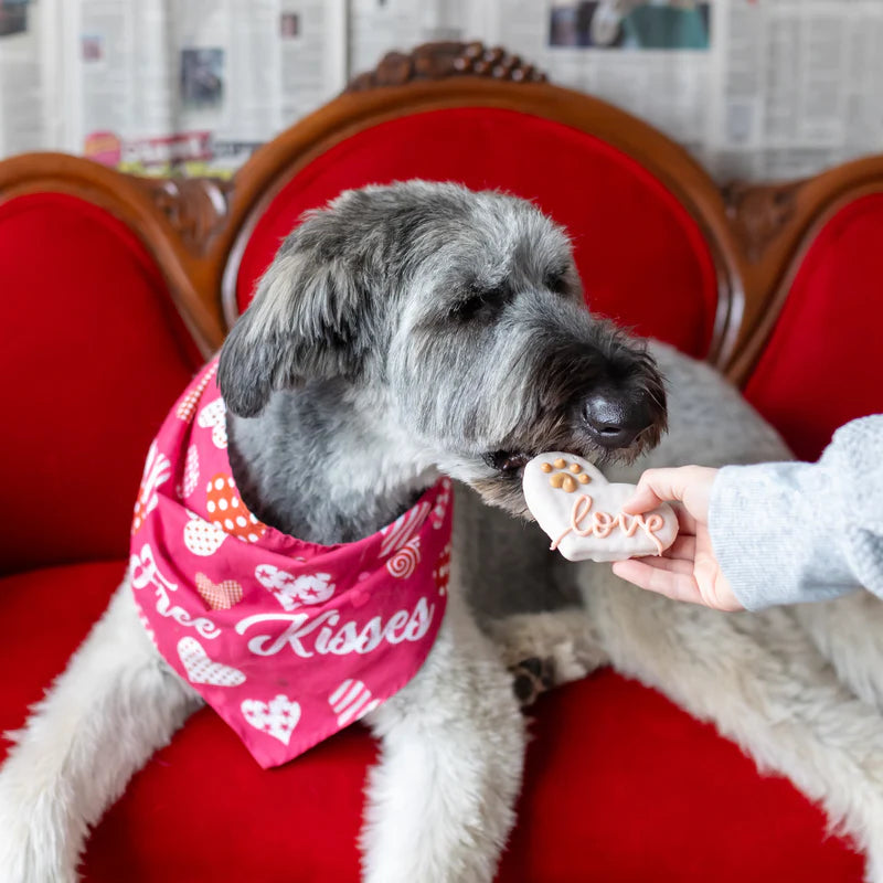 Bosco & Roxy's🍁 Love Hearts