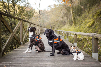 Julius K9 🍁UV Orange IDC Power Harness