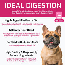 SquarePet Ideal Digestion Formula