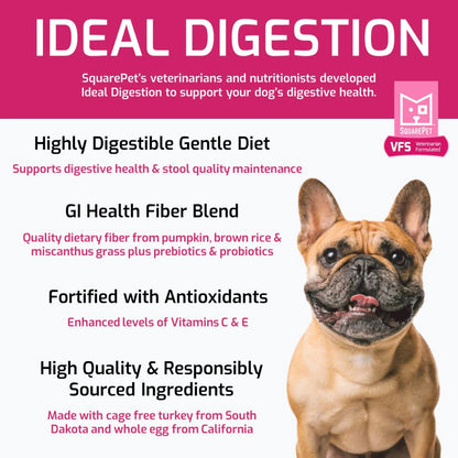 SquarePet Ideal Digestion Formula