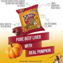 Benny Bullys 🍁Beef Liver & Pumpkin Mini Bags 16g