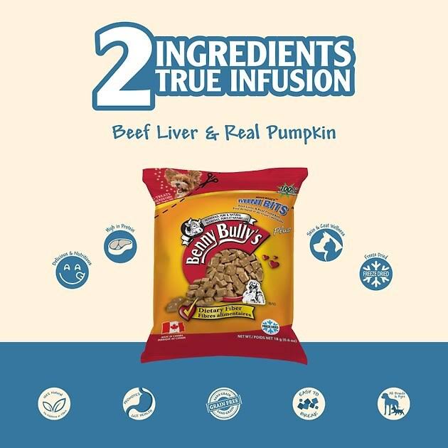 Benny Bullys 🍁Beef Liver & Pumpkin Mini Bags 16g