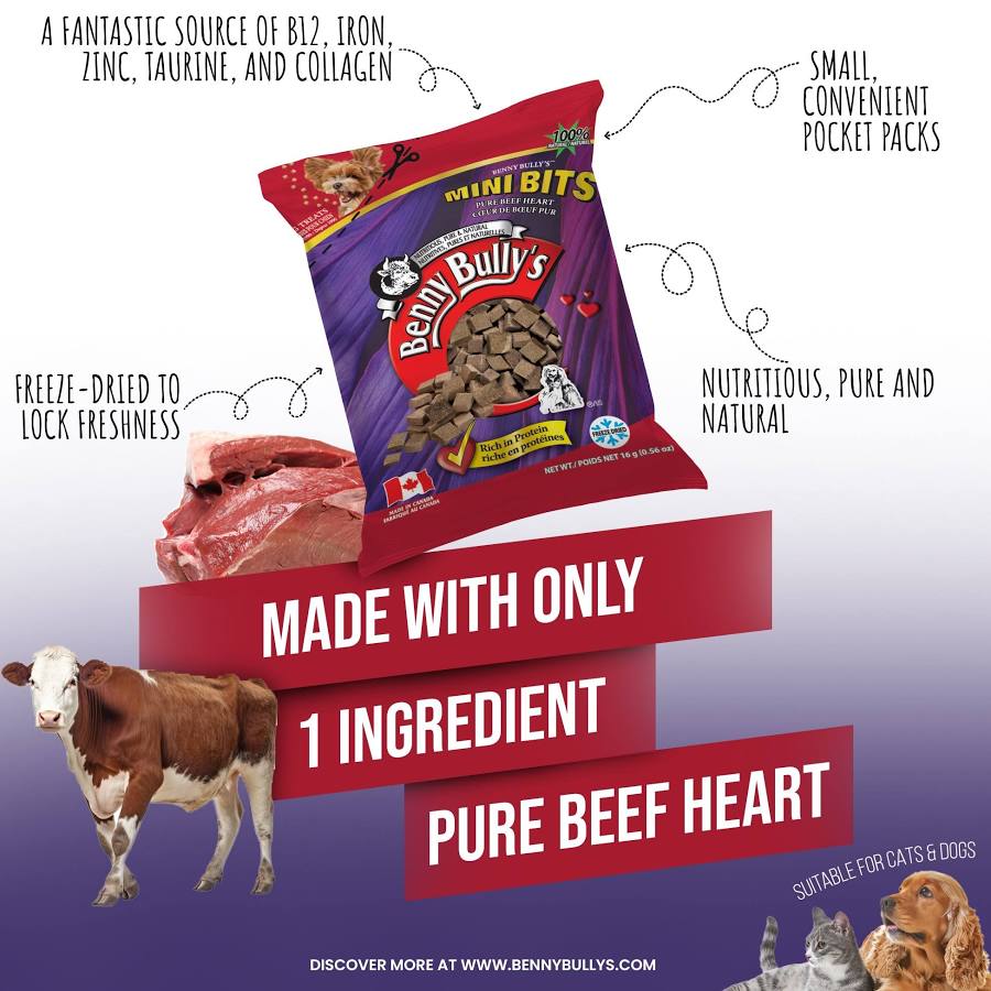 Benny Bullys 🍁Beef Heart Mini Bags 16g