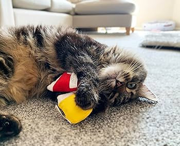 Yeowww! Kitten Mittens