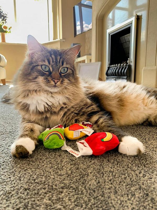 Yeowww! Kitten Mittens