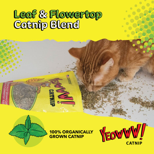 Yeowww Catnip Leaves (Bag)