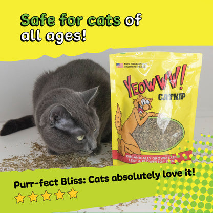 Yeowww Catnip Leaves (Bag)