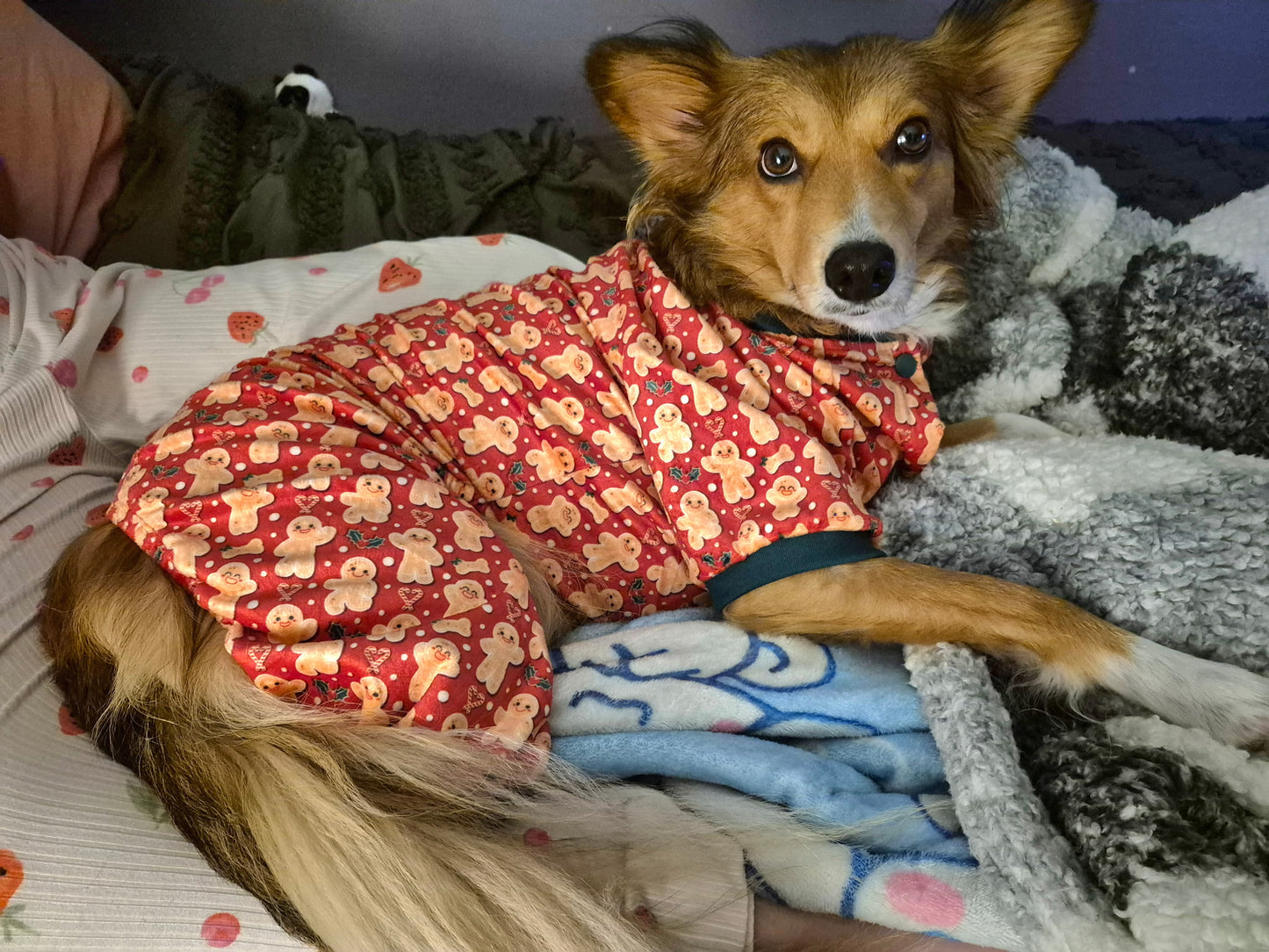 FuzzYard Holly Jolly Cookies Pajamas