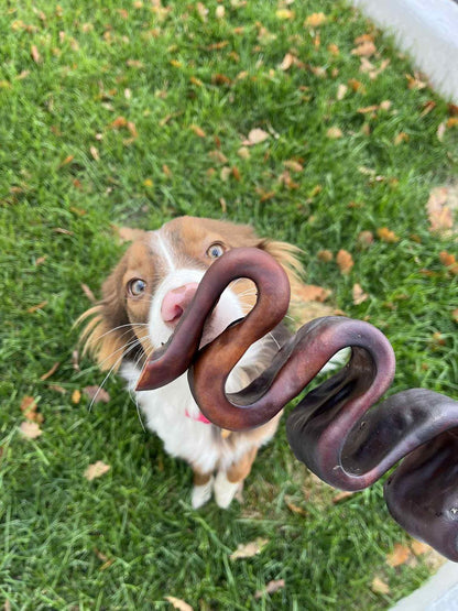 Open Range Wavy Stick Beef Collagen 10-12"