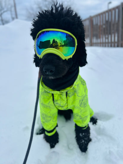 Rex Specs V2 Electric Lime Goggles for Dogs