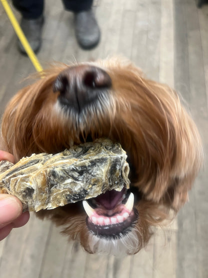 Plato Pet Hunder's Crunch Jerky Fingers