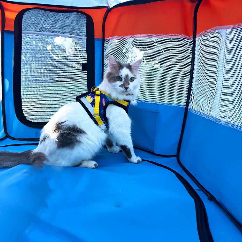 Travel Cat Feline Fun House Portable Tent