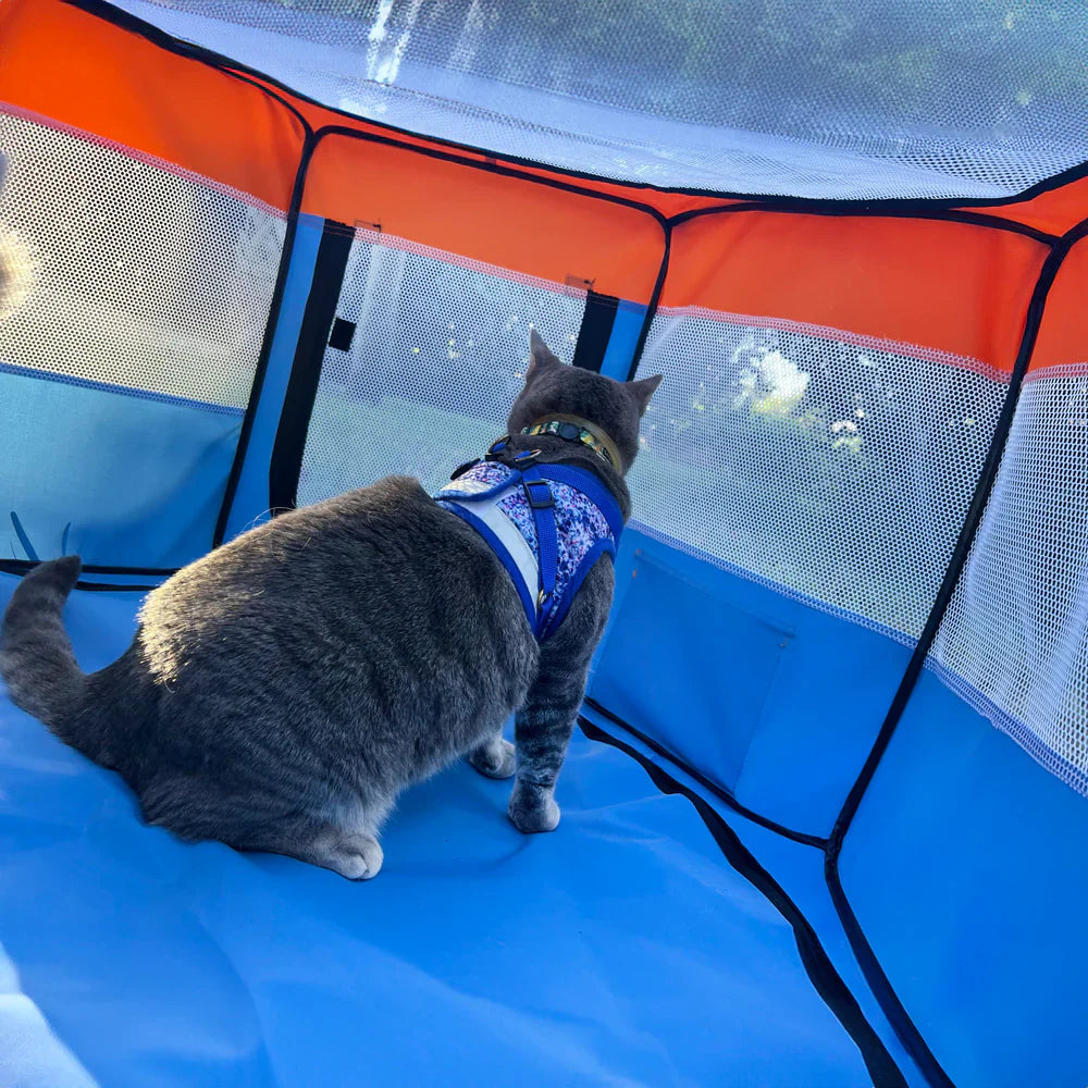 Travel Cat Feline Fun House Portable Tent