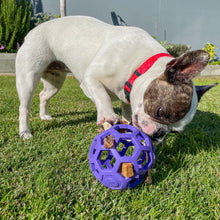 JW Pet Hol-ee Roller