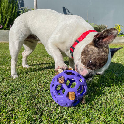 JW Pet Hol-ee Roller