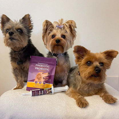 Companion's Choice🍁 Prebiotic Probiotic Paste for Dogs & Cats 30ml