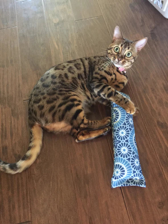 Krazy Kitty 🍁Refillable Snuggle Sticks