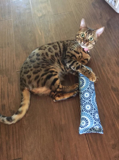Krazy Kitty 🍁Refillable Snuggle Sticks