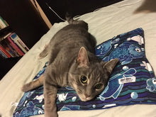 Krazy Kitty 🍁Refillable Catnip Blanket