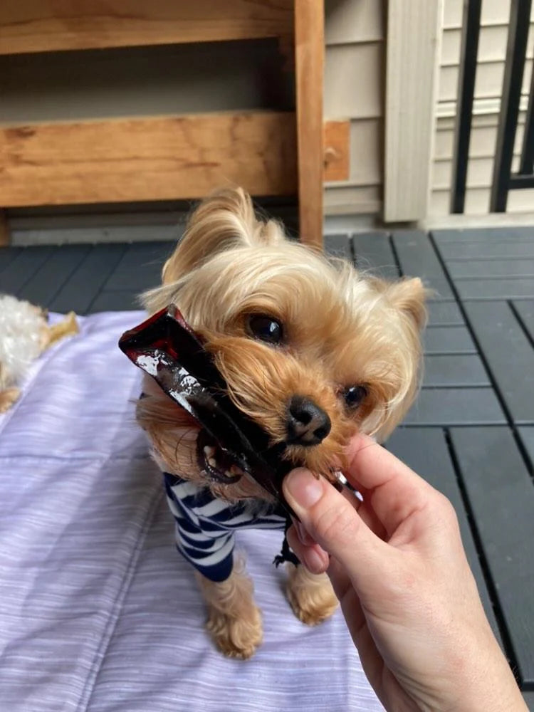 Wag & Bright 🍁 Beef Liver Mighty Marrows Collagen Dental Chew for Dogs