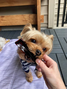 Wag & Bright 🍁 Beef Liver Mighty Marrows Collagen Dental Chew for Dogs