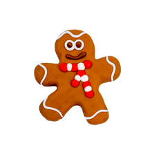 Bosco & Roxy's Ginger Tail Wagger Dog Cookie