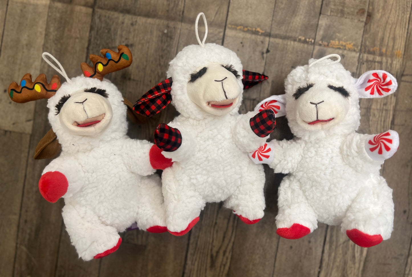 Limited Edition -Christmas Lamb Chop Asst