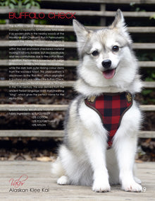 Pretty Paw 🍁Buffalo Check Dog Harness