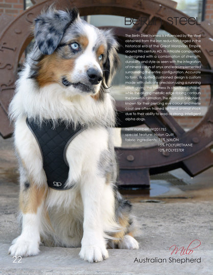 Pretty Paw🍁 Berlin Steel Dog Harness