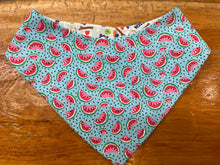 Colly's Creation 🍁Beach Dog & Watermelon Reversible Bandanna