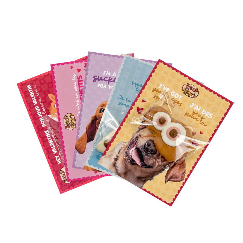 Bosco & Roxy's 🍁Fur-Ever Valentine Pack