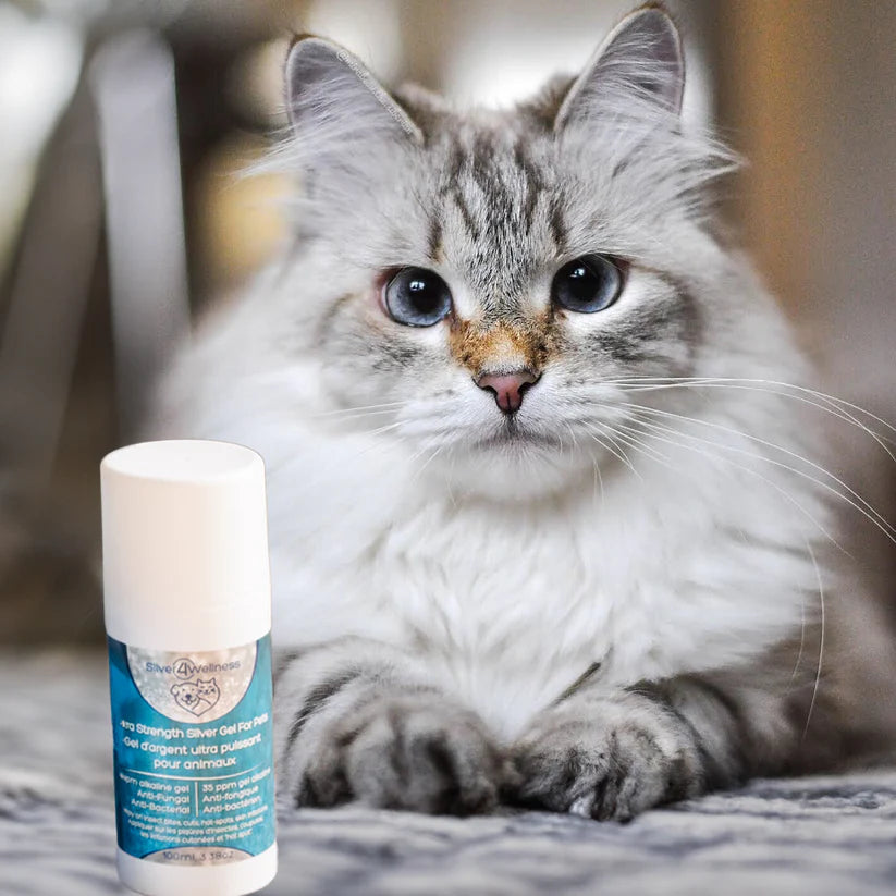 Silver4Wellness 🍁Extra Strength Silver Gel for Pets 35ppm 100ml