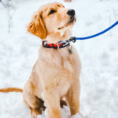 BCuddly Red Plaid Classic Dog Collar
