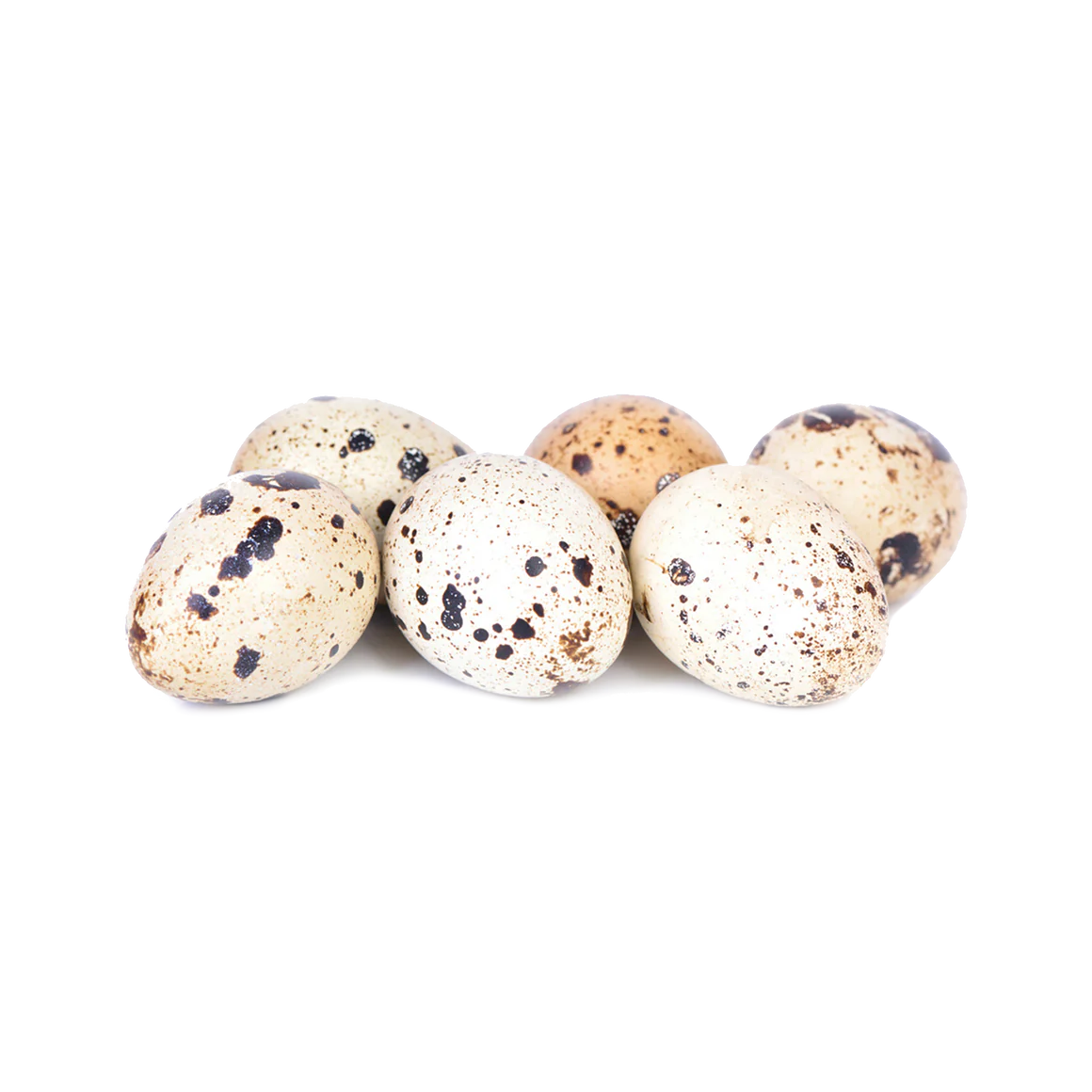 Iron Will Raw 🍁Quail Eggs 18pk