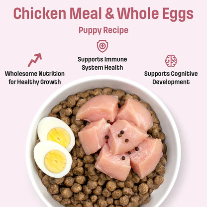 Nutram 🍁Sound (S2) Puppy, Chicken and Whole Eggs