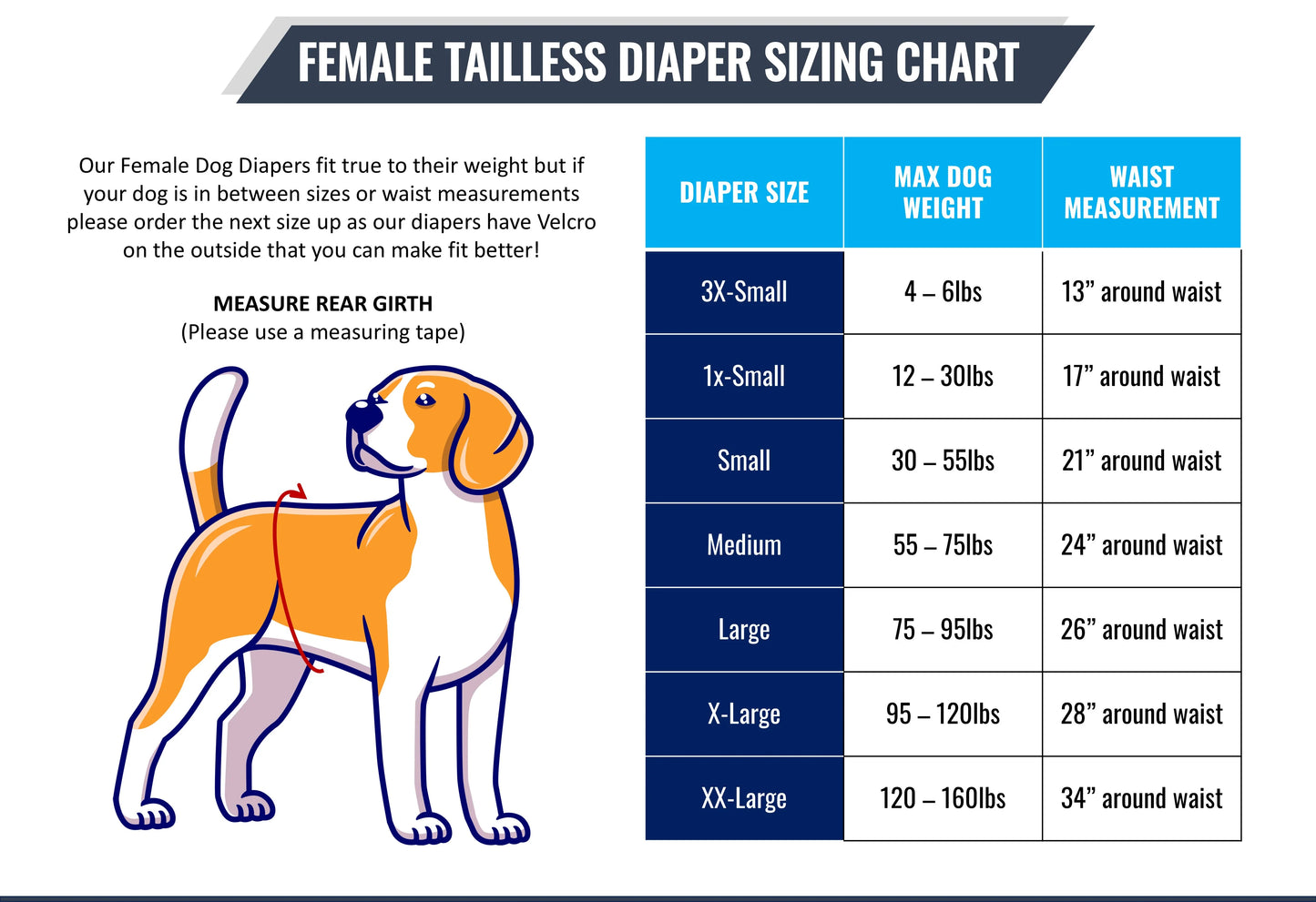 Jack & Jill 🍁Black Female Dog Diapers - Regular Fit