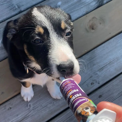 Companion's Choice🍁 Prebiotic Probiotic Paste for Dogs & Cats 30ml
