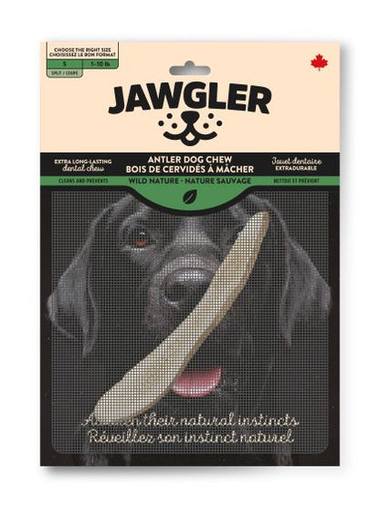 Jawgler🍁Split Wild Nature Antler Dog Chew