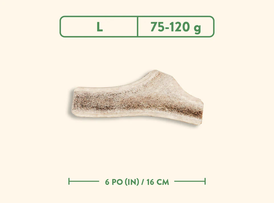 Jawgler🍁Split Wild Nature Antler Dog Chew