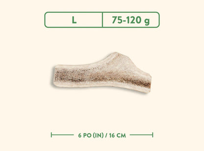 Jawgler🍁Split Wild Nature Antler Dog Chew