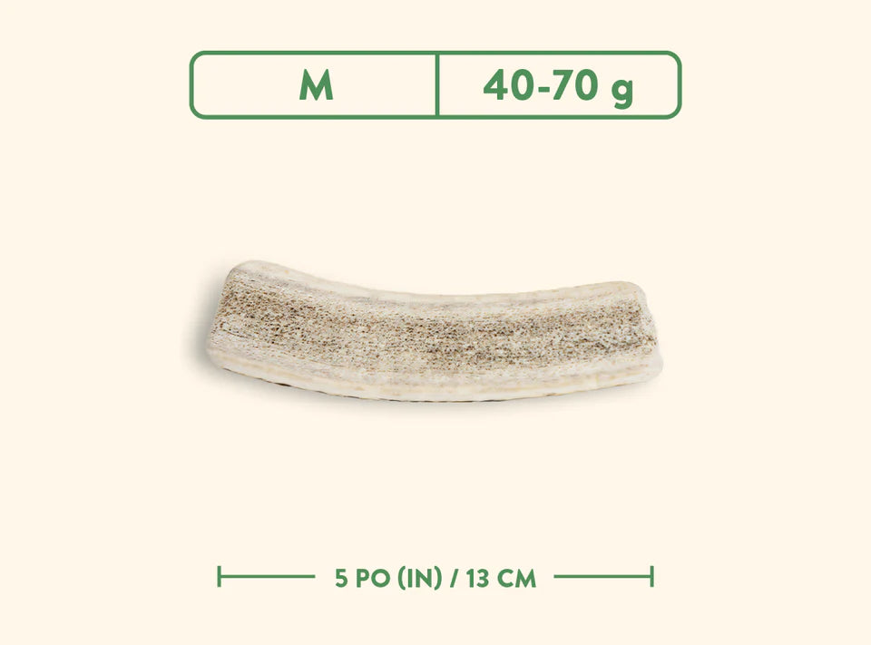 Jawgler🍁Split Wild Nature Antler Dog Chew
