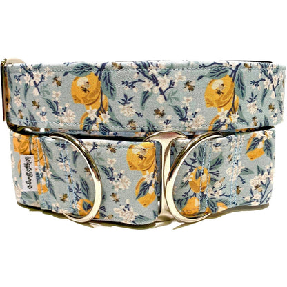 Wiggle Bumz 🍁 Lemons Martingale
