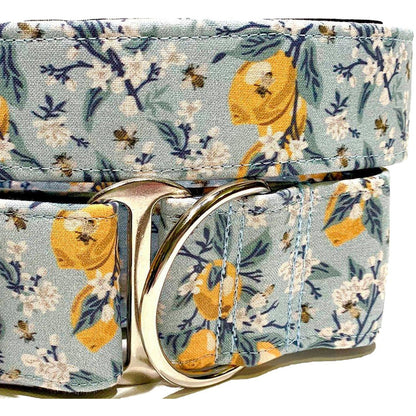 Wiggle Bumz 🍁 Lemons Martingale